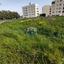 plot for sale zakaki limassol 8238141 thumbnail 15408428