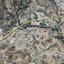 studio mixed use project for sale anglisides larnaca 7533141 thumbnail 9462587