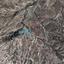 11372 SQM Land for sale in Vyzakia, Nicosia thumbnail 5419607