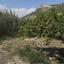 land for sale germasogeia limassol 8532341 thumbnail 17815001