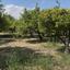 land for sale germasogeia limassol 8532341 thumbnail 17815009