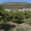 land for sale germasogeia limassol 8532341 thumbnail 17815015