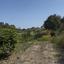 land for sale germasogeia limassol 8532341 thumbnail 17815027