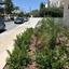 1 bedroom apartment for sale kamares larnaca larnaca 8708441 thumbnail 16265470