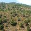 land for sale kalopanagiotis nicosia 8798441 thumbnail 16715757