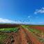 land for sale peristerona lefkosias nicosia 8281441 thumbnail 14223402