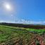 land for sale peristerona lefkosias nicosia 8281441 thumbnail 14223405