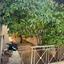 4 bedroom detached house for sale kato lakatamia nicosia 1232541 thumbnail 5215887