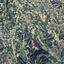 land for sale kallepeia paphos 1145541 thumbnail 15601935