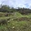 land for sale mandria lemesou limassol 8820541 thumbnail 16919956