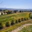 land for sale poli chrysochous paphos 8630541 thumbnail 17040079