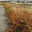 studio industrial park for sale strovolos nicosia 8693541 thumbnail 16183770