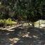 2 bedroom apartment for sale larnaca municipality larnaca 8076641 thumbnail 16592598