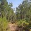 land for sale agios epifanios oreinis nicosia 1380641 thumbnail 3399690