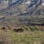 land for sale kelokedara paphos 8628641 thumbnail 17009478