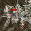 land for sale tsada paphos 8699641 thumbnail 16224169