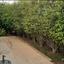 4 bedroom detached house for sale aradippou larnaca 8749741 thumbnail 16478581