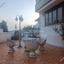 4 bedroom detached house for sale troulloi larnaca 8704741 thumbnail 16236223