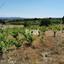 land for sale pachna limassol 1146741 thumbnail 5510118