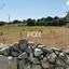 land for sale pachna limassol 1146741 thumbnail 5510125