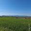 land for sale palaiometocho nicosia 945841 thumbnail 15600960