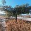 plot for sale vavla larnaca 7573841 thumbnail 16130168