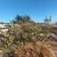 plot for sale vavla larnaca 7573841 thumbnail 16130169