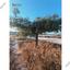 plot for sale vavla larnaca 7573841 thumbnail 18399070