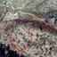 9700 SQM Land for sale in Mousere, Paphos thumbnail 5481439