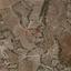 land for sale mazotos larnaca 830941 thumbnail 13257452