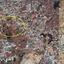 plot for sale deryneia famagusta 878051 thumbnail 752245