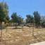 1 bedroom apartment for sale livadia larnacas larnaca 8711151 thumbnail 16276715