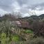 land for sale mandria lemesou limassol 8598151 thumbnail 16562003