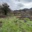 land for sale mandria lemesou limassol 8598151 thumbnail 16562005