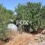 land for sale prodromi paphos 1160151 thumbnail 5537439