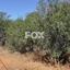land for sale prodromi paphos 1160151 thumbnail 5537444