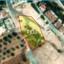 land for sale prodromi paphos 1160151 thumbnail 5537460