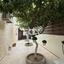 4 bedroom detached house for rent katholiki limassol 8716251 thumbnail 16866608