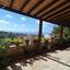 4 bedroom detached house for rent mesa chorio paphos 8337251 thumbnail 15432647