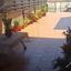 4 bedroom detached house for sale aradippou larnaca 9004251 thumbnail 18395189