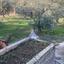 land for sale agios tychonas limassol 1910251 thumbnail 7375073