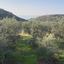 land for sale agios tychonas limassol 1910251 thumbnail 7375077