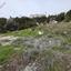 land for sale agios tychonas limassol 8160351 thumbnail 13508227