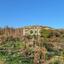 land for sale anarita paphos 7643351 thumbnail 10053608