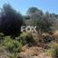 land for sale kouklia pafou paphos 1437351 thumbnail 10036156