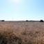 land for sale ypsonas limassol 7544351 thumbnail 17674449