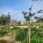 1 bedroom apartment for rent tersefanou larnaca 8738451 thumbnail 16361892