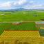land for sale softades larnaca 8509451 thumbnail 15421957