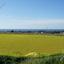 land for sale souni zanakia limassol 8359451 thumbnail 14534743