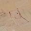 4348 SQM Land for sale in Tersefanou, Larnaca thumbnail 16799932